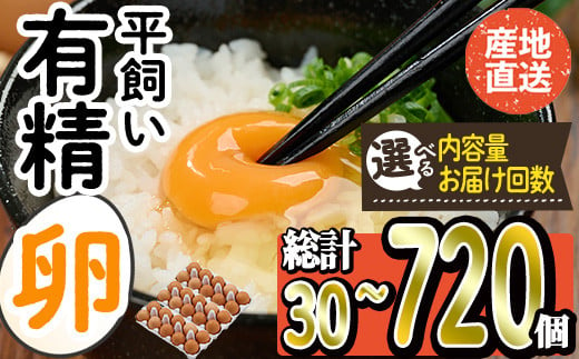 [内容量とお届け回数が選べる]産直・平飼い有精卵 (総計30-720個・1回・3回・6回・12回) 卵 玉子 卵かけご飯 玉子焼き 平飼い 鶏 鶏卵 養鶏場直送 朝採れ 新鮮 大分県 佐伯市 定期便[HM01][佐伯養鶏場]