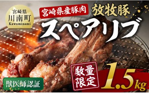 数量限定！宮崎県産豚肉放牧豚スペアリブ1.5kg 【 豚 肉 国産 九州産 宮崎県産 川南町産 豚肉 スペアリブ 】