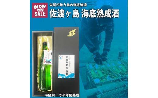 酒 日本酒 純米吟醸酒　佐渡 海底熟成酒 「真稜」720ml×1本 1920066 - 新潟県佐渡市