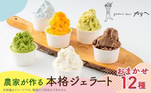 福岡県産 農家が作る本格ジェラート　　12種類おまかせセレクション【1543307】 1520557 - 福岡県大牟田市