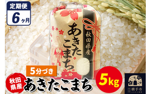 《定期便6ヶ月》あきたこまち 5kg×1袋【5分づき】令和7年産 秋田県産 こまちライン 1920274 - 秋田県横手市