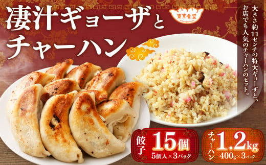 凄汁ギョーザ（15個）とチャーハン（約400g×3パック） 2種 セット 冷凍 餃子 炒飯 ぎょうざ ギョウザ 中華 中華惣菜 点心 506158 - 茨城県神栖市