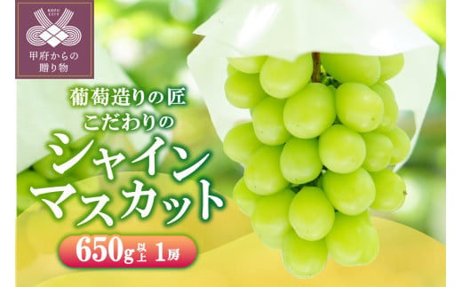 【☆先行予約☆2025年/令和7年発送分】シャインマスカット（こだわり）1房　650g以上 〈シャインマスカット 山梨 1房 先行予約 2025年 フルーツ ぶどう 650g 高級 贈答 ギフト 甲府市産 大粒 甘い〉  1368604 - 山梨県甲府市