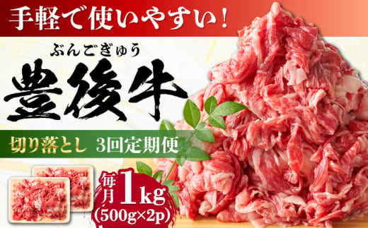 【全3回定期便】【期間限定】 小分けで便利！おおいた豊後牛 牛肉 切り落とし 1kg (500g×2)  日田市 / 株式会社MEAT PLUS　肉 牛肉 和牛 [AREI044] 1921223 - 大分県日田市