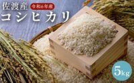 佐渡島産　コシヒカリ　5kg　令和６年産 1921858 - 新潟県佐渡市