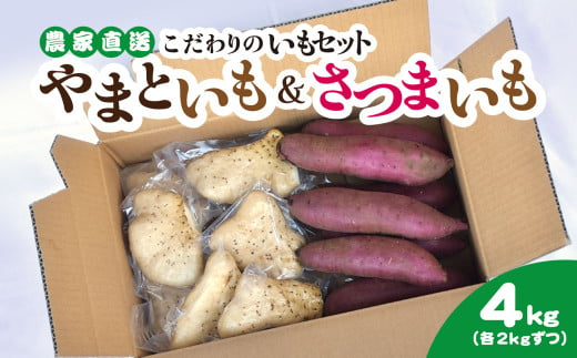 農家直送! 直売所でも大人気! こだわりのいもセット4kg 大和芋2kg＋さつまいも2kg　ふるさと納税 いも 芋 ヤマトイモ 大和芋 さつまいも サツマイモ べにはるか 芋セット 農家直送 千葉県 山武市 SMCH002