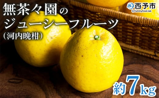 ＜無茶々園のジューシーフルーツ（河内晩柑）約7kg＞ 果物 フルーツ 選べる内容量 かわちばんかん みかん ミカン 蜜柑 柑橘 期間限定 季節限定 食べて応援 特産品 愛媛県 西予市 【常温】