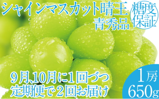 2025年 先行予約受付中【2回定期便】シャインマスカット晴王1房 約650g×2回 岡山県産 種無し 皮ごと食べる みずみずしい 甘い フレッシュ 瀬戸内 晴れの国 おかやま 果物大国 ハレノフルーツ