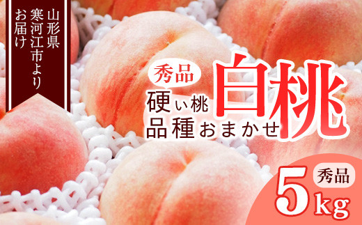 《先行予約》山形の硬い桃 秀品 5kg（13 - 20玉） 品種おまかせ 秀品 山形県産  【8月中旬頃～9月下旬頃発送予定】 　022-B-MM016