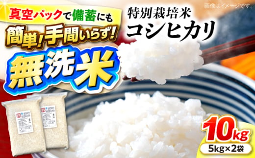 特別栽培米コシヒカリ 真空パック白米（無洗米）10kg（5kg×2袋） お米 こしひかり ご飯 コシヒカリ おこめ 三次市/小川モータース [APCH003] 1922163 - 広島県三次市