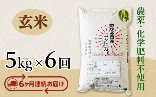 E1-G056【6ヶ月連続お届け】新潟県長岡産コシヒカリ玄米5kg 270576 - 新潟県長岡市