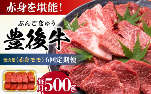 【全6回定期便】おおいた豊後牛 赤身モモ 焼肉用 500g 日田市 / 株式会社MEAT PLUS　牛 うし 黒毛和牛 和牛 豊後牛 [AREI093] 1921272 - 大分県日田市