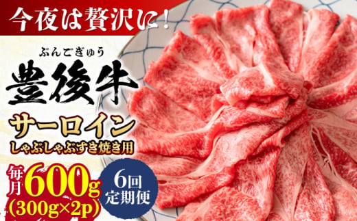 【全6回定期便】【厳選部位】おおいた豊後牛 サーロイン しゃぶしゃぶすき焼き用 600g(300g×2P) 日田市 / 株式会社MEAT PLUS　牛 うし 黒毛和牛 和牛 豊後牛 [AREI087] 1921266 - 大分県日田市