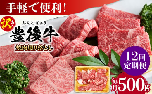 【全12回定期便】【訳あり】おおいた豊後牛 焼肉 切り落とし 500g 日田市 / 株式会社MEAT PLUS　牛 うし 黒毛和牛 和牛 豊後牛 [AREI133] 1921312 - 大分県日田市