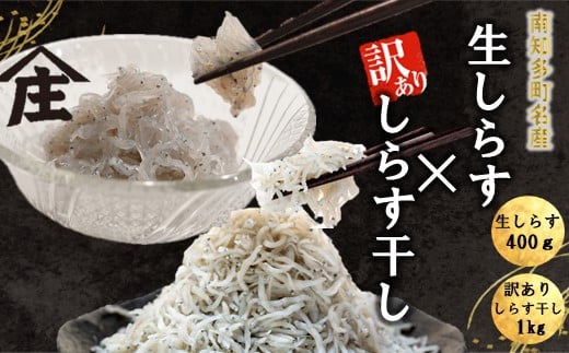 生しらす 400g 訳ありしらす干し 1kg セット 冷凍 刺身 真空パック しらす干し 炒飯 パスタ ごはん 丼 サラダ 魚 料理 愛知県 南知多町 師崎 シラス しらす 小魚 魚貝 魚貝類 しらす シラス 海鮮 しらす丼 シラス丼 ふるさと納税しらすしらす おすすめ 大人気 南知多産しらす愛知県産しらす  1918150 - 愛知県南知多町