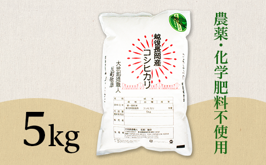 E1-S051新潟県産米コシヒカリ5kg 225865 - 新潟県長岡市