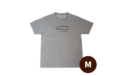 nanpu Tシャツ M サイズ  ヘザーチャコール 北海道 南富良野町 限定デザイン オリジナル