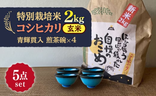 【令和6年産新米】 玄米 コシヒカリ 特別栽培米 （2kg）+ 【美濃焼】 青輝貫入 煎茶碗 （4個） 【山松加藤松治郎商店】 [TEU062] 1921546 - 岐阜県多治見市