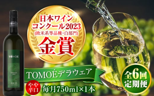 【全6回定期便】TOMOEデラウェア 白ワイン やや辛口 750ml 1本 白 ワイン 受賞 ギフト 醸造 おすすめ 三次市 / 広島三次ワイナリー [APAZ051] 1922082 - 広島県三次市