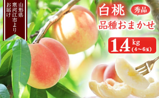 《先行予約》山形の白桃 秀品 1.4kg（4 - 6玉） 品種おまかせ 秀品 山形県産 【8月上旬頃～9月下旬頃発送予定】  010-B-MM069 1317494 - 山形県寒河江市