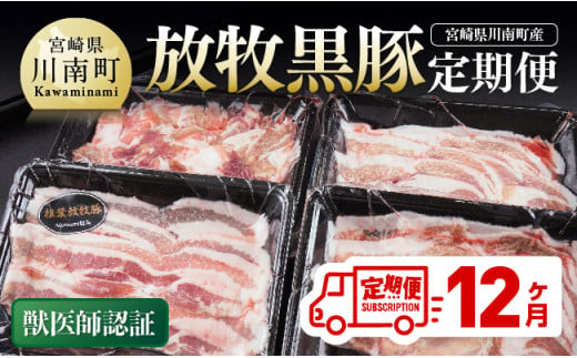 【12ヶ月定期便】宮崎県川南町産 放牧黒豚定期便 【 豚 肉 豚肉 国産 黒豚 九州産 宮崎県産 川南町 加工品 セット 送料無料 】