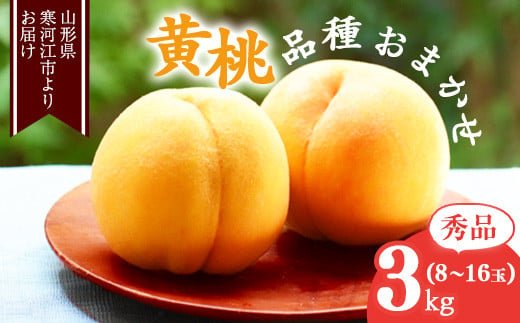 《先行予約》山形の黄桃 秀品 3kg（8 - 16玉） 品種おまかせ 秀品 山形県産【8月中旬頃から9月下旬頃発送予定】　015-B-MM018