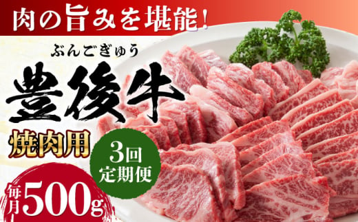 【全3回定期便】おおいた豊後牛 焼肉用 500g 日田市 / 株式会社MEAT PLUS　牛 うし 黒毛和牛 和牛 豊後牛 [AREI098] 1921277 - 大分県日田市