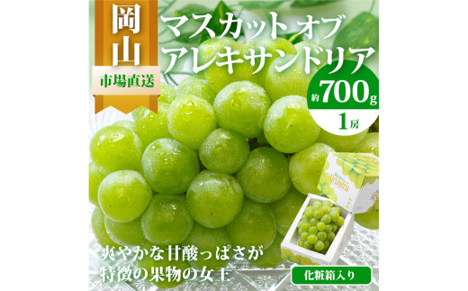 マスカット・オブ・アレキサンドリア 1房 （700g以上・秀品以上） 化粧箱入り 【2025年7月上旬～8月上旬迄発送予定】 マスカット 果物 くだもの フルーツ ぶどう ブドウ 葡萄 岡山 おかやま 国産 1920092 - 岡山県奈義町