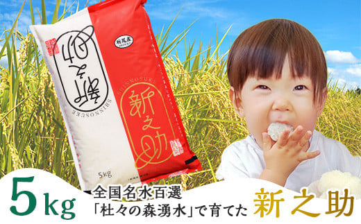 43-10新之助5kg（全国名水百選栃尾産） 224956 - 新潟県長岡市