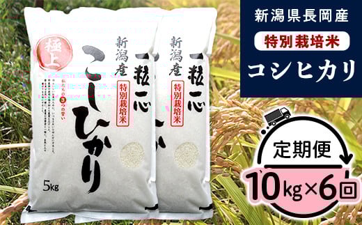 48-N106【6ヶ月連続お届け】新潟県長岡産特別栽培米コシヒカリ10kg 277497 - 新潟県長岡市