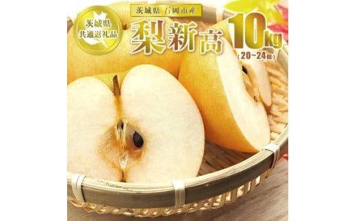 新高 10kg 20～24個【茨城県共通返礼品 石岡市】 ※2025年10月～10月下旬頃に順次発送予定 1922132 - 茨城県守谷市