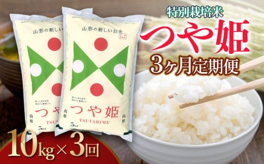 【令和6年産】【3ヶ月定期便】特別栽培米 つや姫 精米10kg×3回 計30kg 山形県 庄内産　米食味鑑定士お薦め