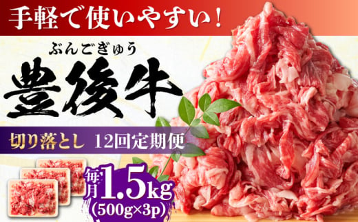 【全12回定期便】【たっぷりお得！】おおいた豊後牛 牛肉 切り落とし 1.5kg (500g×3) 日田市 / 株式会社MEAT PLUS　肉 牛肉 和牛 [AREI052] 1921231 - 大分県日田市