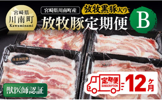 【12ヶ月定期便】宮崎県川南町産 放牧豚定期便B（放牧黒豚入り） 【 豚 肉 豚肉 黒豚 国産 九州産 宮崎県産 川南町 加工品 セット 送料無料 】