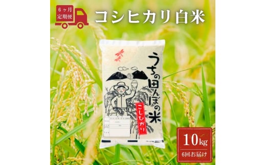 令和6年産 コシヒカリ白米【定期便】10kg/月×6回（月1回配送）