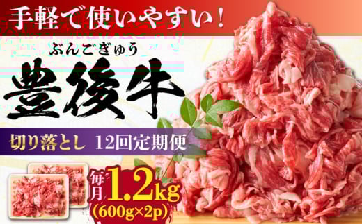 【全12回定期便】【大容量パック！】 おおいた豊後牛 牛肉 切り落とし 1.2kg (600g×2) 日田市 / 株式会社MEAT PLUS　肉 牛肉 和牛 [AREI049] 1921228 - 大分県日田市