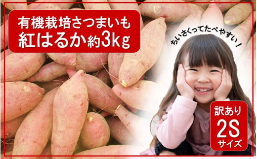 [訳あり]小さいサイズのさつまいも紅はるか約3kg(有機栽培 岬ちゃん 2Sサイズ 50g〜100g前後/個)_2512R