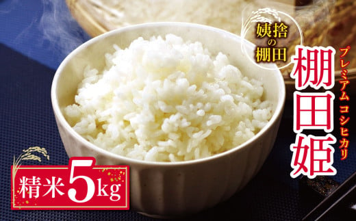 姨捨 の 棚田 プレミアム コシヒカリ 「 棚田姫 」 5kg 令和6年産 モリ電子 | 米 白米 コシヒカリ こしひかり 長野県 千曲市 姨捨 信州