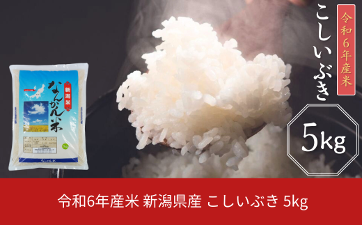 新潟県産 こしいぶき 5kg 令和6年産米 [JAえちご中越]【011S288】