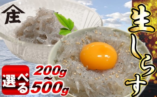 [容量選べる] 生しらす 200g 〜 500g 冷凍 刺身 真空パック ごはん 丼 サラダ 魚 料理 愛知県 南知多町 師崎 シラス しらす 小魚 魚貝 魚貝類 しらす シラス 海鮮 しらす丼 シラス丼 ふるさと納税しらすしらす おすすめ 大人気 南知多産しらす愛知県産しらす