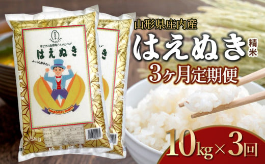 【令和6年産】【3ヶ月定期便】はえぬき 精米 10kg×3回 計30kg 山形県 庄内産　米食味鑑定士お薦め 