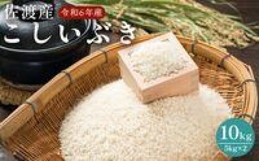 佐渡島産　こしいぶき　10kg（5kg×2）　令和６年産 1921857 - 新潟県佐渡市