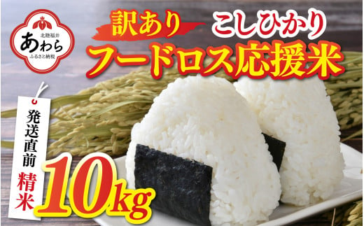 【令和6年産】【訳あり】フードロス米 コシヒカリ 精米 10kg × 1袋 《発送直前精米》 / 福井県産 ご飯 お米 白米 ブランド米 フードロス SDGs 新鮮 農家直送 家計応援 生活応援 1921860 - 福井県あわら市