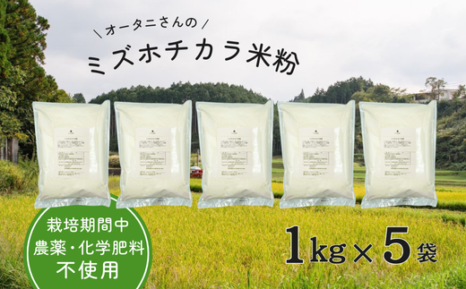 504. 農薬・化学肥料不使用 ミズホチカラ(パン用米粉) 1kg×5袋 1951208 - 岐阜県八百津町