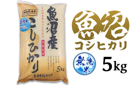 C2-6M051C新潟県魚沼産特別栽培米コシヒカリ(長岡川口地域)無洗米5kg 303194 - 新潟県長岡市