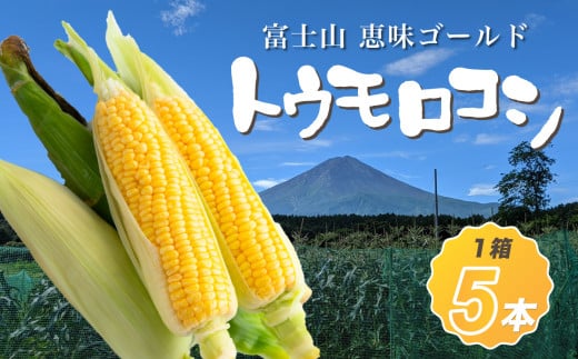 【先行予約】富士山 恵味ゴールド トウモロコシ　5本