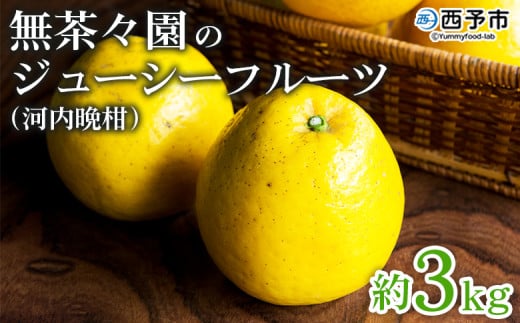 ＜無茶々園のジューシーフルーツ（河内晩柑）約3kg＞ 果物 フルーツ 選べる内容量 かわちばんかん みかん ミカン 蜜柑 柑橘 期間限定 季節限定 食べて応援 特産品 愛媛県 西予市 【常温】