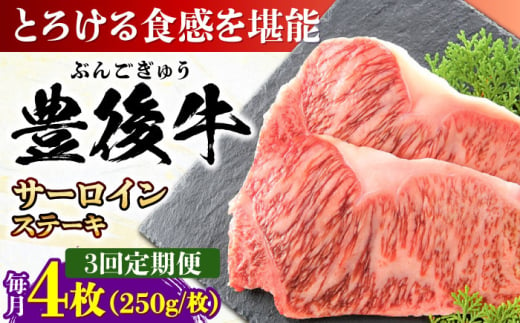 【全3回定期便】おおいた豊後牛 サーロインステーキ 1kg (250g×4枚) 日田市 / 株式会社MEAT PLUS　肉 牛肉 和牛 [AREI059] 1921238 - 大分県日田市