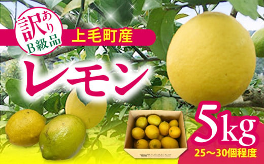 上毛町産レモン 訳ありB級品 5kg K06406