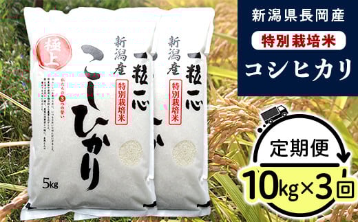 48-N103【3ヶ月連続お届け】新潟県長岡産特別栽培米コシヒカリ10kg 277496 - 新潟県長岡市